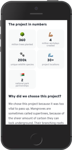 Project details page on a mobile phone.